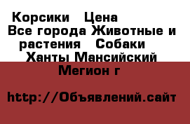 Корсики › Цена ­ 15 000 - Все города Животные и растения » Собаки   . Ханты-Мансийский,Мегион г.